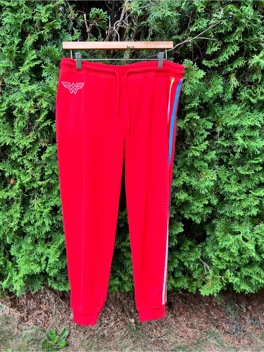 Warner Bros. Red Wonder Woman Joggers